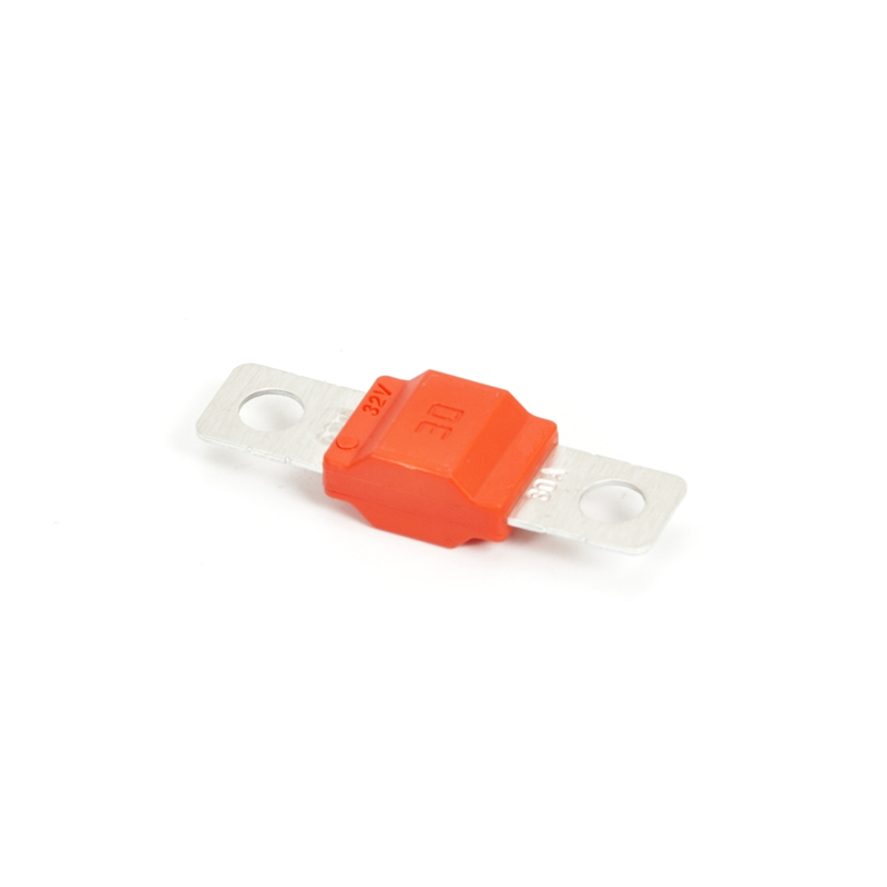 Fusibile 30A Per Il Kit Batteria Per Raccoglitore Di Olive 12v
